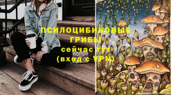 трава Алексин