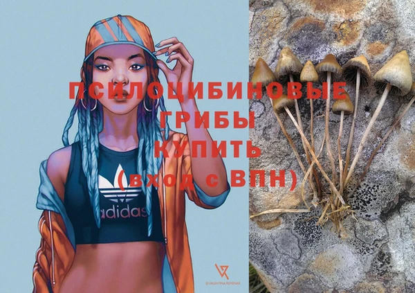 дживик Алзамай