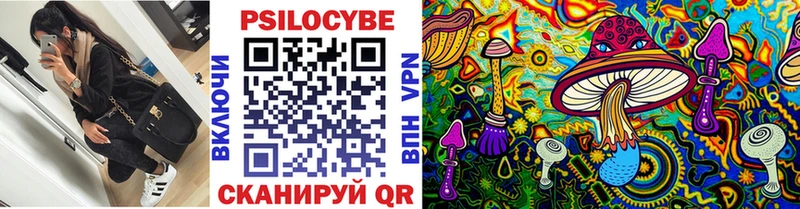 Галлюциногенные грибы Psilocybine cubensis Бабаево